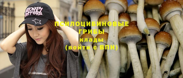 винт Покровск