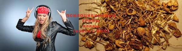 стафф Абинск