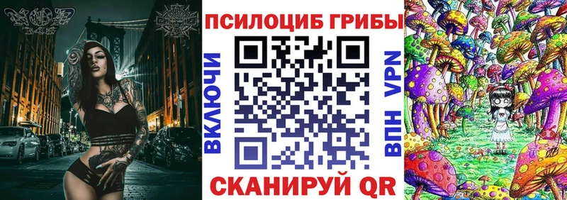 Псилоцибиновые грибы Magic Shrooms  наркошоп  Ак-Довурак 